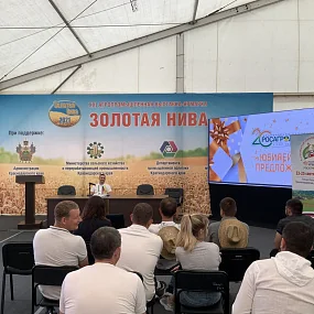 Золотая Нива